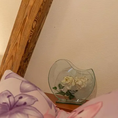Han/Misafirhane Gaststaette Und Zur Einkehr