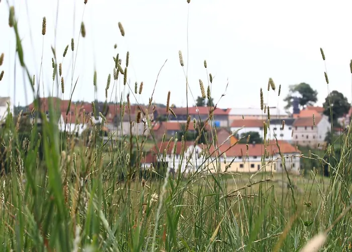 Gaststaette Und Zur Einkehr 宾馆 Neustadt an der Orla